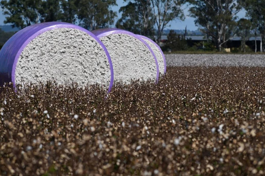 ADM: December Cotton Firms on Market Optimism